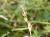 Img.VTax3761.Ex3.Img2