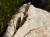 Img.VTax3766.Ex2.Img1