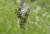 Img.VTax3766.Ex2.Img2