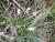 Img.VTax3781.Ex2.Img1