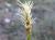 Img.VTax3781.Ex2.Img2