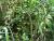 Img.VTax3793.Ex3.Img1