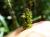Img.VTax3793.Ex3.Img3