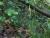 Img.VTax3800.Ex1.Img1