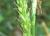 Img.VTax3800.Ex1.Img3