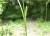 Img.VTax3800.Ex1.Img4