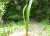 Img.VTax3800.Ex1.Img5