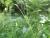 Img.VTax3806.Ex1.Img1