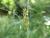 Img.VTax3806.Ex1.Img2