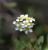 Img.VTax381.Ex1.Img1