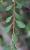 Img.VTax381.Ex1.Img3