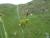 Img.VTax3813.Ex1.Img2