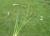 Img.VTax3813.Ex1.Img3