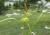Img.VTax3813.Ex1.Img4