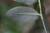 Img.VTax3820.Ex1.Img2