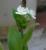 Img.VTax3820.Ex2.Img1