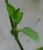Img.VTax3820.Ex2.Img2