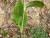 Img.VTax3820.Ex3.Img1