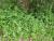 Img.VTax3820.Ex3.Img2