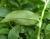Img.VTax3820.Ex3.Img4