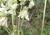 Img.VTax385.Ex1.Img3