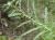 Img.VTax385.Ex1.Img5