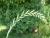 Img.VTax3874.Ex1.Img2