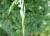 Img.VTax3874.Ex1.Img6