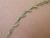 Img.VTax3875.Ex1.Img1