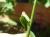 Img.VTax3875.Ex1.Img3