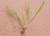 Img.VTax3889.Ex1.Img1