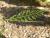 Img.VTax3889.Ex1.Img3
