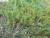 Img.VTax3889.Ex1.Img4