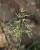 Img.VTax3896.Ex2.Img1