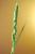 Img.VTax3924.Ex1.Img1