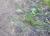 Img.VTax3927.Ex1.Img1