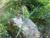Img.VTax3927.Ex1.Img3