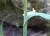 Img.VTax3927.Ex1.Img5