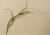 Img.VTax3947.Ex1.Img1