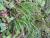 Img.VTax3947.Ex1.Img2