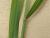 Img.VTax3947.Ex1.Img5