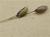 Img.VTax3947.Ex1.Img6