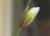 Img.VTax3947.Ex1.Img7