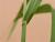 Img.VTax3947.Ex1.Img8