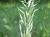 Img.VTax4022.Ex2.Img2