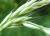 Img.VTax4022.Ex2.Img3