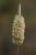 Img.VTax4026.Ex1.Img1