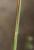 Img.VTax4026.Ex1.Img2