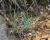 Img.VTax4029.Ex2.Img1