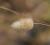 Img.VTax4038.Ex1.Img2